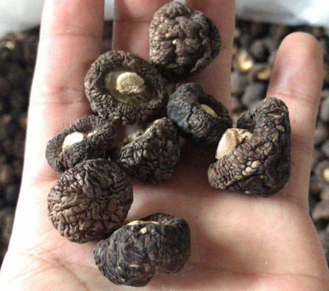 ��ƽ�������㹽�ɻ�����500g1.5-2cm�㹽�񹽶���ɢװʳ�þ��ɻ�