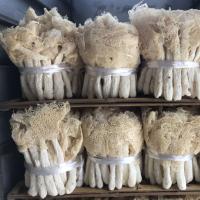 2021����ݥ�ɻ�500g�»����������ز�����ũ�����ϸɻ���ݥ���ز�