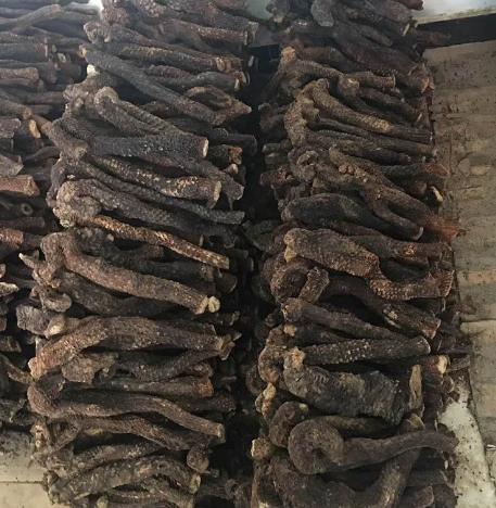 ����ֱ�����ɹŰ����ƻ�Į�������＾ҩʳͬԴ��������ܿ��������