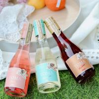 ����ֵ��������ζ�������������Ѿ�����Сƿ�ƻ��������200ml