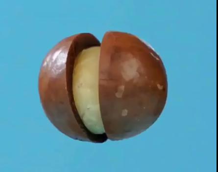 �����Ĺ�500g����ԭζ��ɹ���ɢװ��һ��