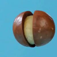 �����Ĺ�500g����ԭζ��ɹ���ɢװ��һ��